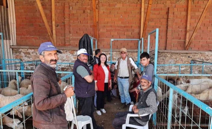 Pazaryeri’nde kurban satış noktası denetlendi