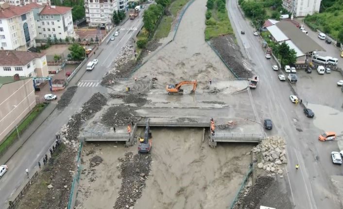 Sel felaketleri sadece insanları değil, balık popülasyonunu da etkiliyor