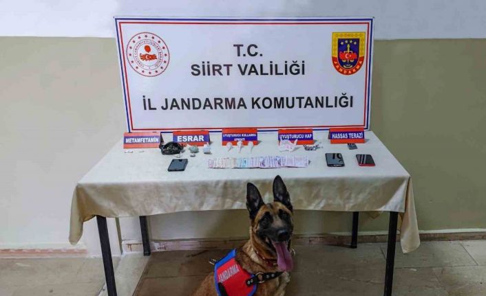 Siirt’te uyuşturucu operasyonunda 5 kişi tutuklandı