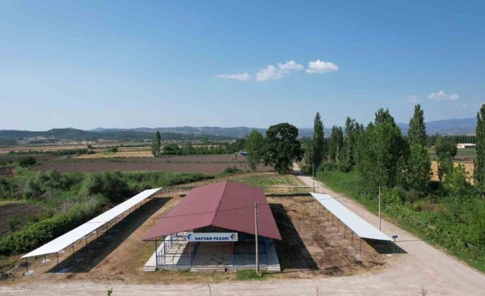 Sındırgı’da kurban pazarı panayır alanında