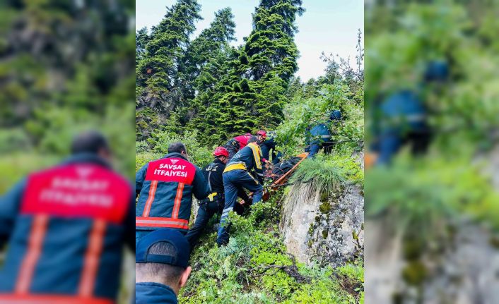 Uçuruma yuvarlanan kamyonet sürücüsü hayatını kaybetti
