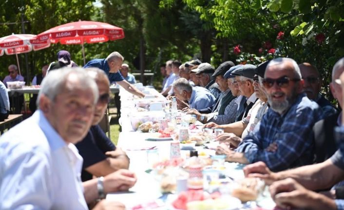 Ulu çınarları buluşturan gelenek