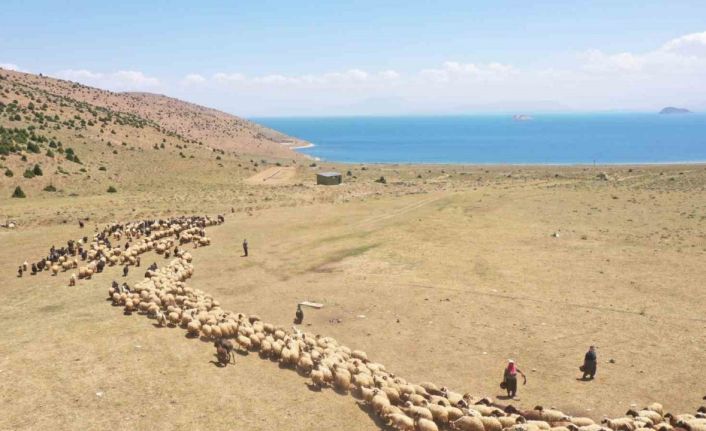 Van’da yaylaya güneş enerjisiyle su ulaştırıldı