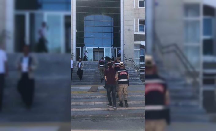 Vatandaşları canından bezdiren hırsızlara operasyon