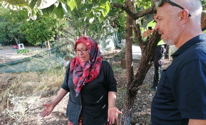 Yılandan korkup ormanı yakıyordu