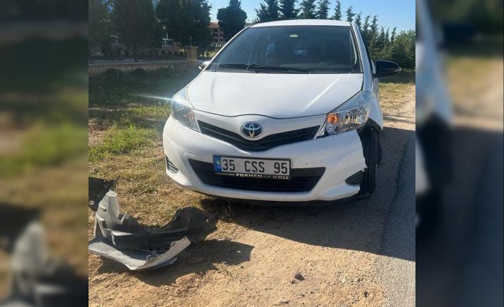 Yola aniden çıkan başıboş köpekler 2 ayrı kazaya sebep oldu