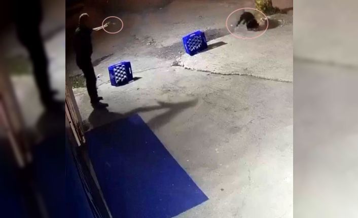 Ağaca bağlı köpeğe, arkadaşına saldırdığı için kurşun yağdırmış