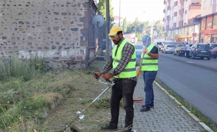 Ağaçlar budanıp yabani otlar temizlendi