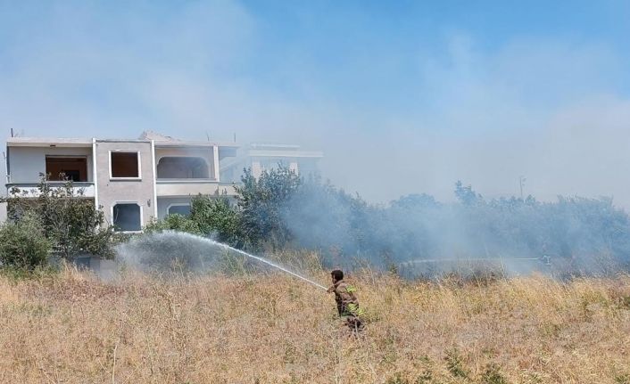 Alevlerin içinde kalan kaplumbağayı itfaiye kurtardı