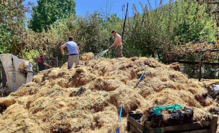 Amasya’da yangında saman balyaları küle döndü