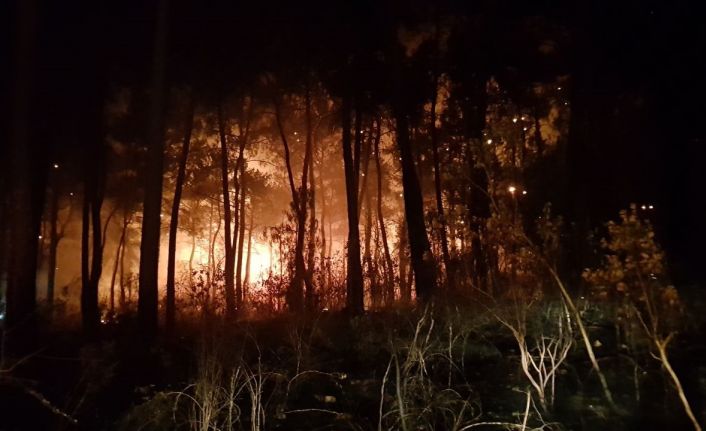 Antalya’da orman yangını