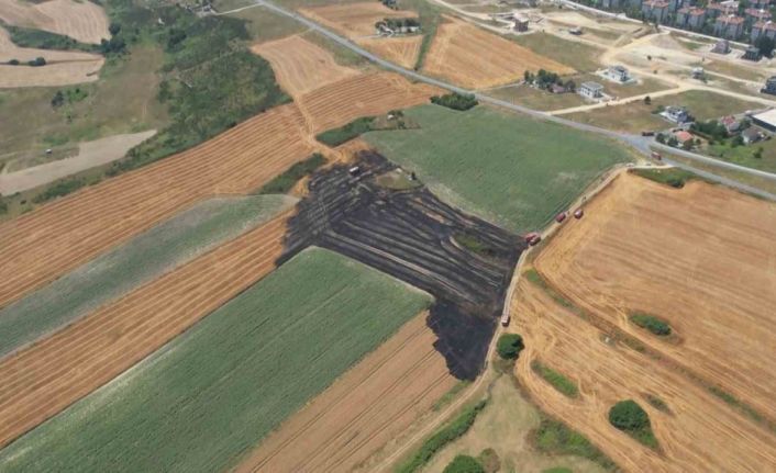 Arnavutköy’de 20 dönüm buğday tarlası küle döndü