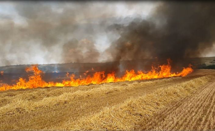 Aşırı sıcaklar hububat tarlalarında yangın riskini artırıyor