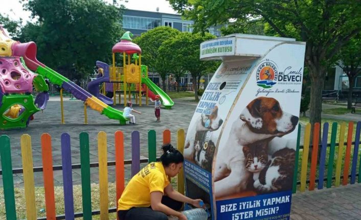 Atakum’da patili dostlara destek