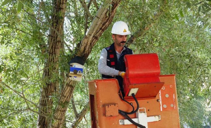 Atıl durumdaki elektrik panoları kuş yuvalarına dönüştürüldü