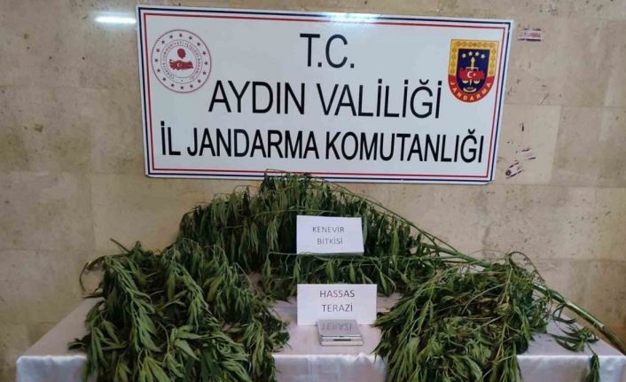 Aydın’da uyuşturucu operasyonu: 1 gözaltı