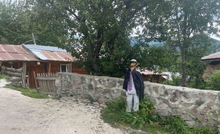 Ayılar Artvin’de köylüleri canından bezdirdi: "Ağaçlardan meyve toplayamıyoruz"
