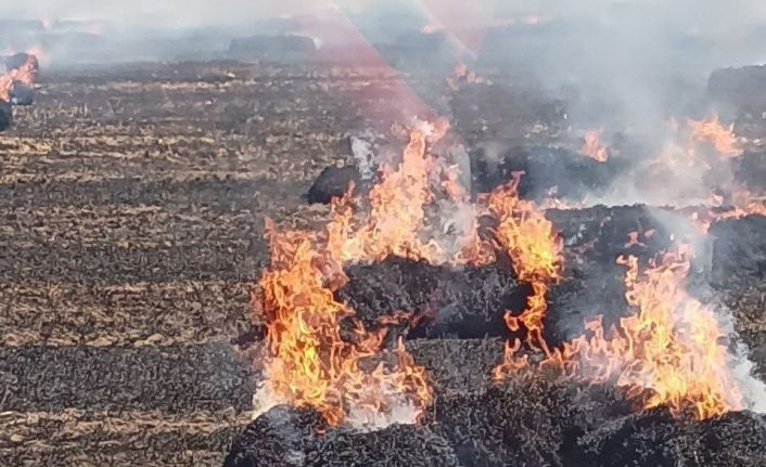 Bandırma’da tarla yangını