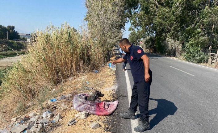 Bataklığa saplanan köpeği itfaiye kurtardı