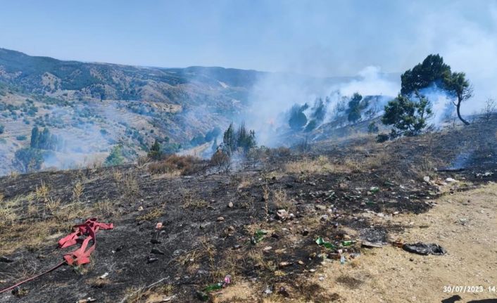 Bilecik’te çıkan orman yangını büyümeden söndürüldü