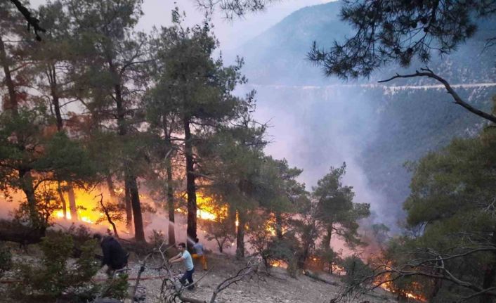 Bolu’da ormana düşen yıldırım yangın çıkardı