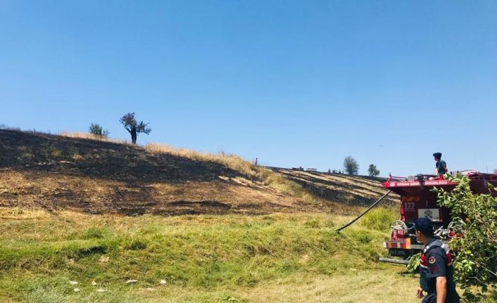 Buğday hasat edilirken çıkan yangın ormana sıçramadan söndürüldü