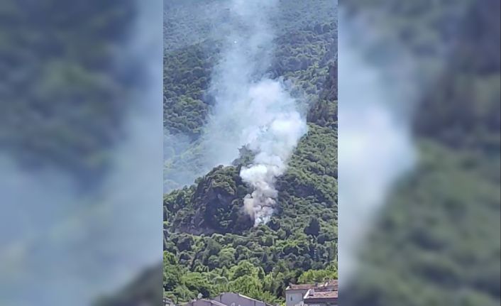 Bursa’daki orman yangınına havadan ve karadan müdahale ediliyor