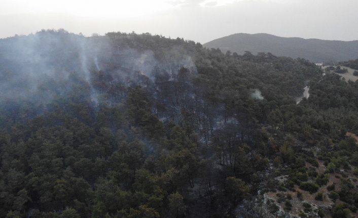 Çanakkale’deki orman yangını 16 saat sonra kontrol altına alındı