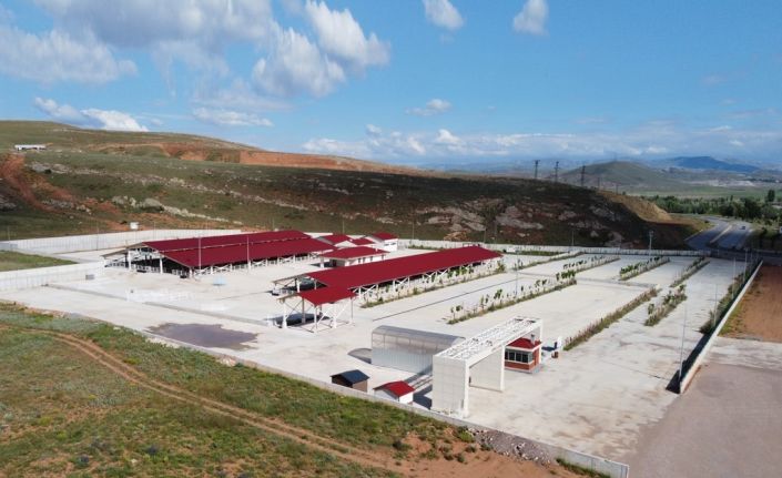 Canlı Hayvan Pazarı ve Ot Borsası, Sivas hayvancılığına kazandırıldı