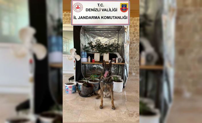 Denizli’de uyuşturucu imalathanesine operasyon