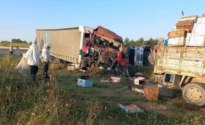 Edirne’de, Muğlalı arıcılara tır çarptı: 4 ölü, 1 yaralı