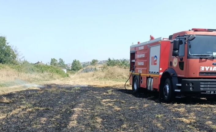 Elektrik tellerine çarpan kuş anız yangını çıkardı