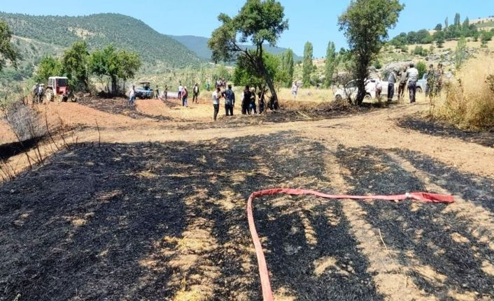 Emet’te ekili alanda çıkan yangın ormana sıçramadan söndürüldü