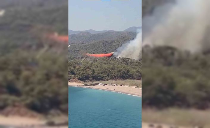 Fethiye’de orman yangını