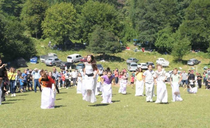 Geleneksel Göktepe Şenliklerinin 7.’si yapıldı