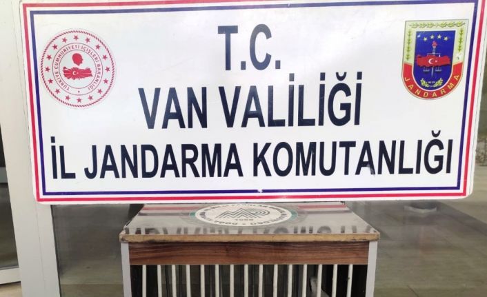 Gevaş’ta kafes avcılığı yapan 1 kişi jandarmaya takıldı