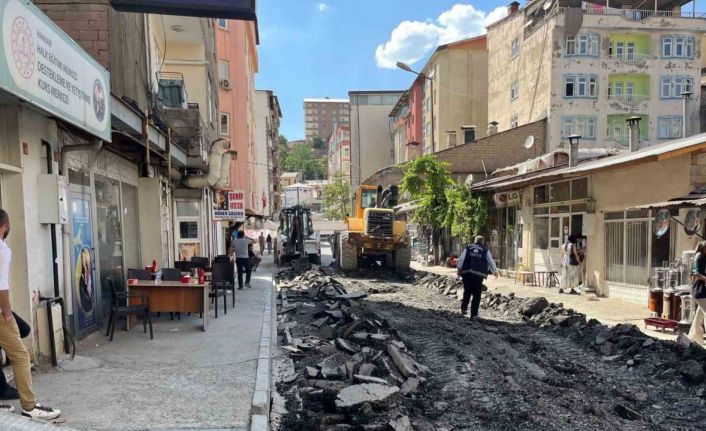 Hakkari’de bir cadde daha sanat sokağına dönüştürülüyor