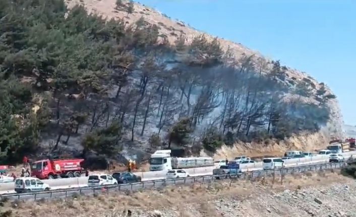 Hatay’da orman yangını, ekiplerin müdahalesi ile söndürüldü