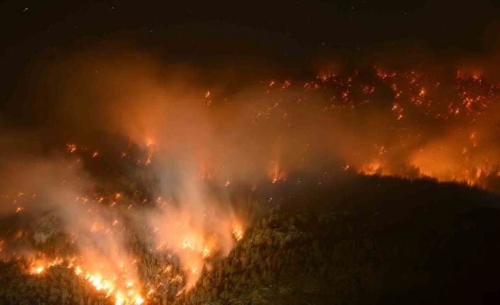 İsviçre’de ormanlık alanda yangın