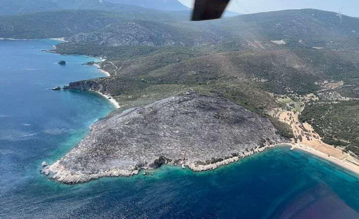 İzmir’deki orman yangınında gözaltına alınan şüpheliler serbest bırakıldı