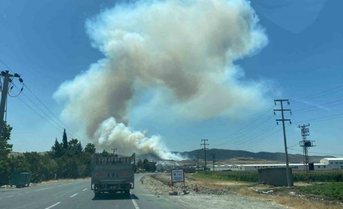 Kahramanmaraş’ta orman yangını