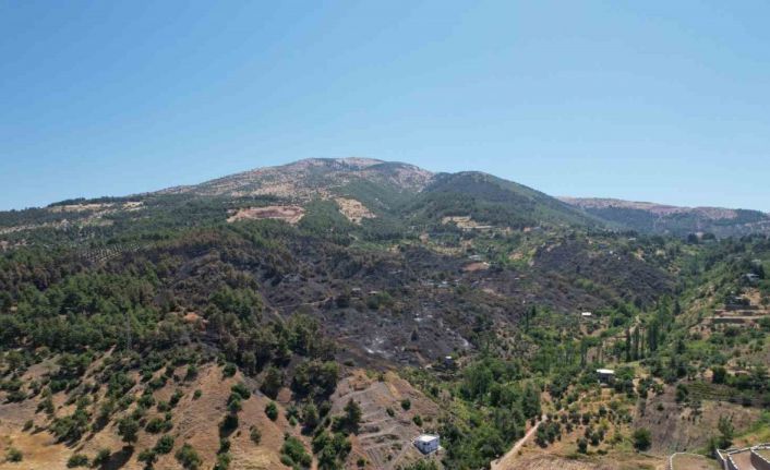 Kahramanmaraş’ta yanan 15 hektar alan dron ile görüntülendi