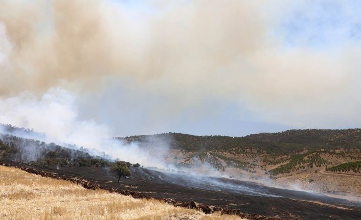 Kahramanmaraş’taki orman yangını kontrol altına alındı