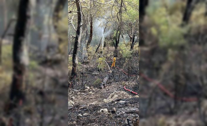 Kaş’taki yangını söndürüp Kemer’de görevlerine devam ettiler