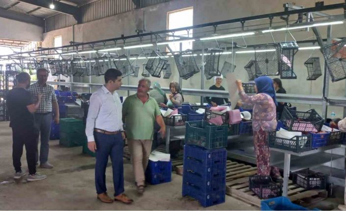 Kaymakam Taş’tan soğuk hava depolarında inceleme