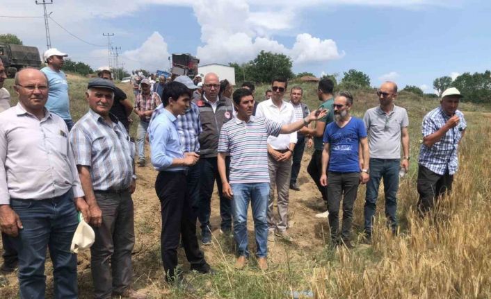 Kofçaz’da Tarla Günü etkinliği