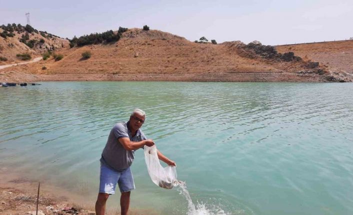 Korkuteli göletlerine 83 bin adet sazan yavrusu bırakıldı