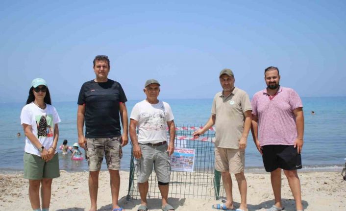 Kuşadası’nın tertemiz plajları caretta caretta yuvalarına ev sahipliği yapıyor