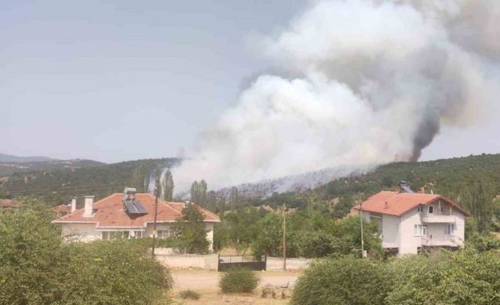 Kütahya’da orman yangını