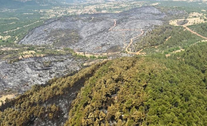 Kütahya’da yanan ormanlık alanlar havadan görüntülendi